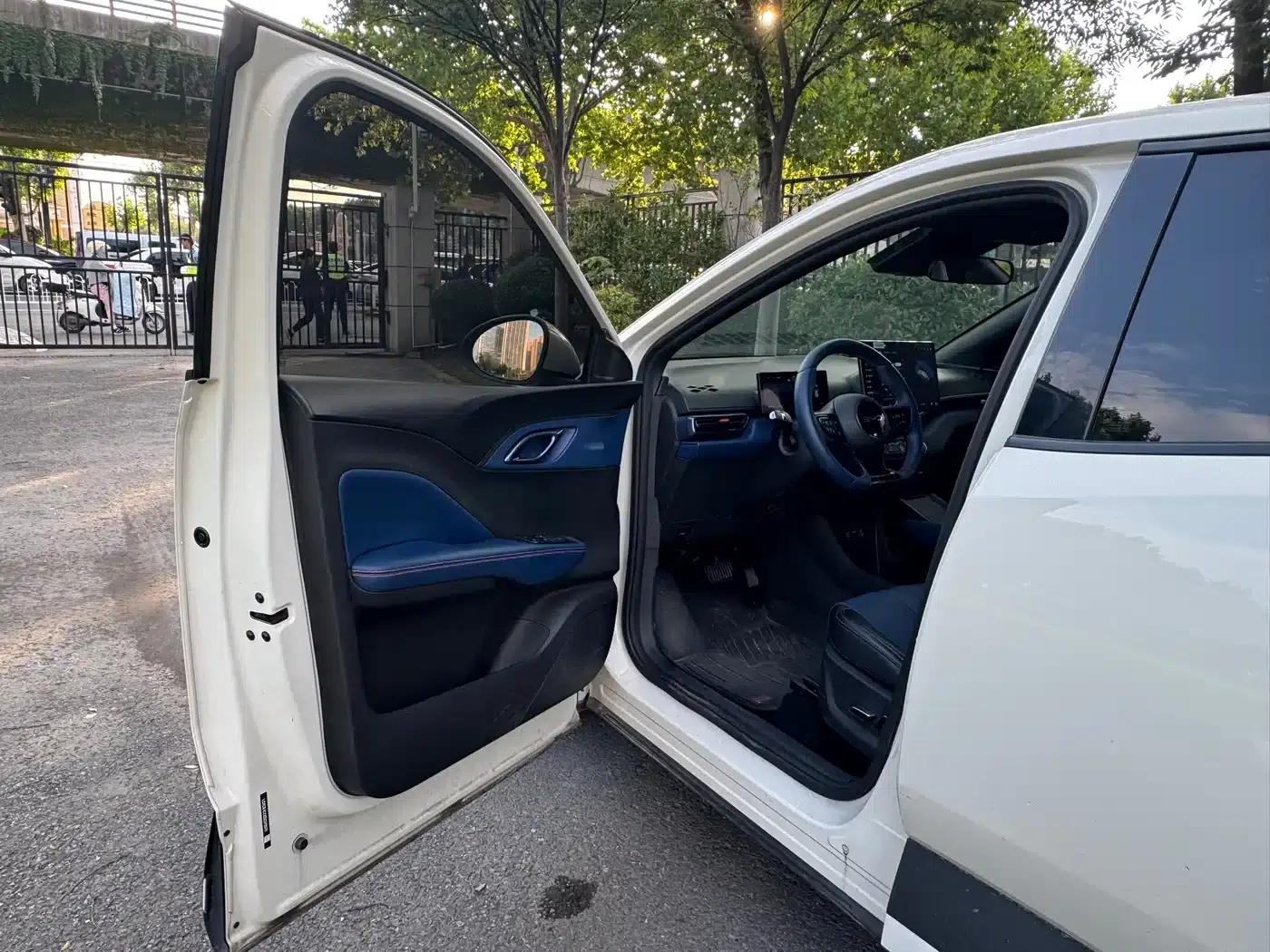 Seagull 2025 Smart Driving Edition 305km Freedom Edition — миниатюра 3