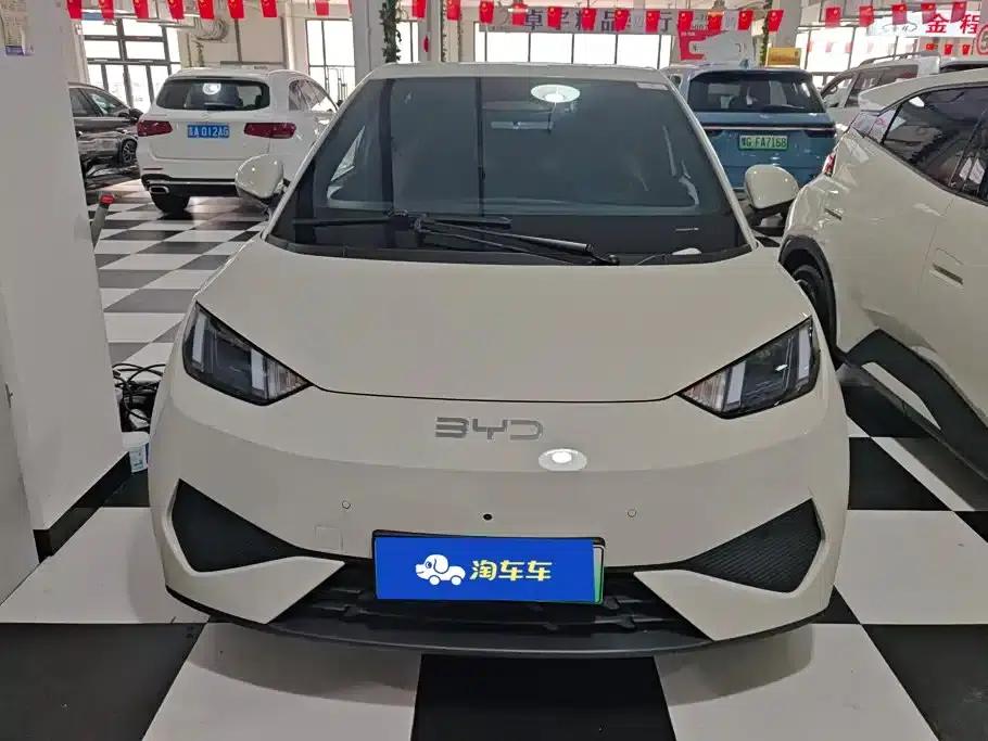 Seagull 2025 Smart Driving Edition 305km Freedom Edition — миниатюра 2