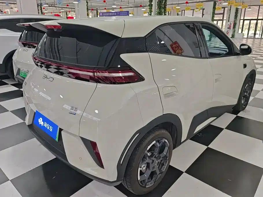 Seagull 2025 Smart Driving Edition 305km Freedom Edition — миниатюра 3
