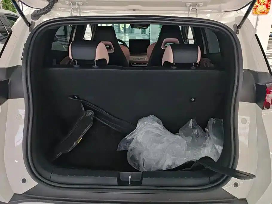 Seagull 2025 Smart Driving Edition 305km Freedom Edition — миниатюра 4