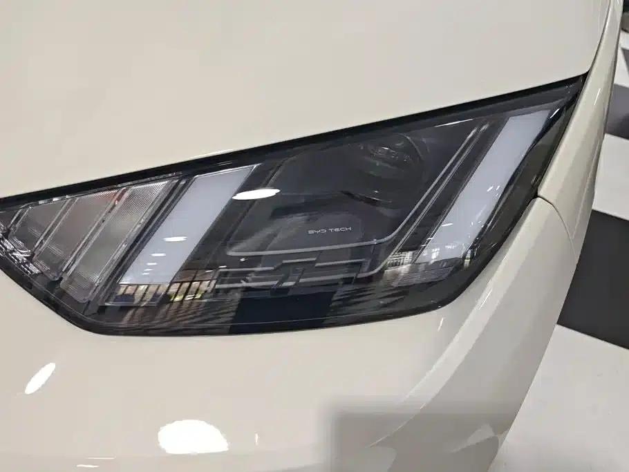 Seagull 2025 Smart Driving Edition 305km Freedom Edition — миниатюра 5