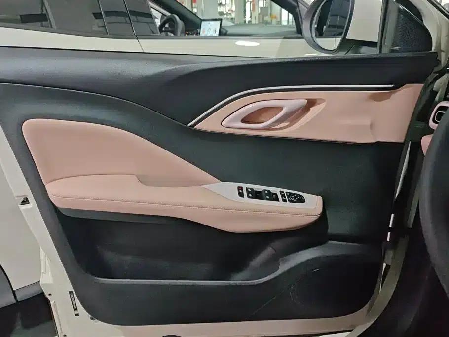Seagull 2025 Smart Driving Edition 305km Freedom Edition — миниатюра 7