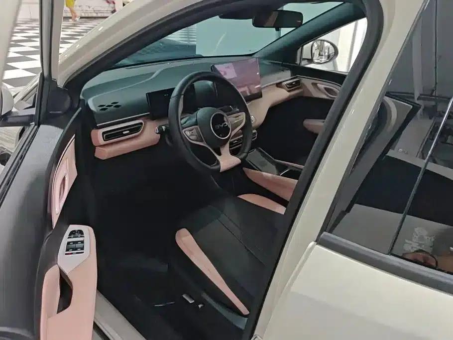 Seagull 2025 Smart Driving Edition 305km Freedom Edition — миниатюра 9