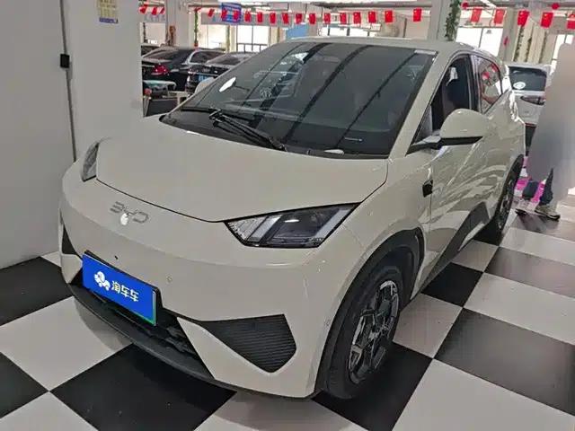 Seagull 2025 Smart Driving Edition 305km Freedom Edition