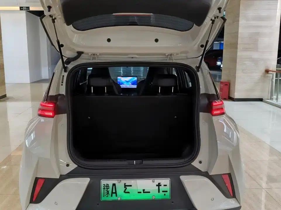 Seagull 2025 Smart Driving Edition 305km Freedom Edition — миниатюра 16