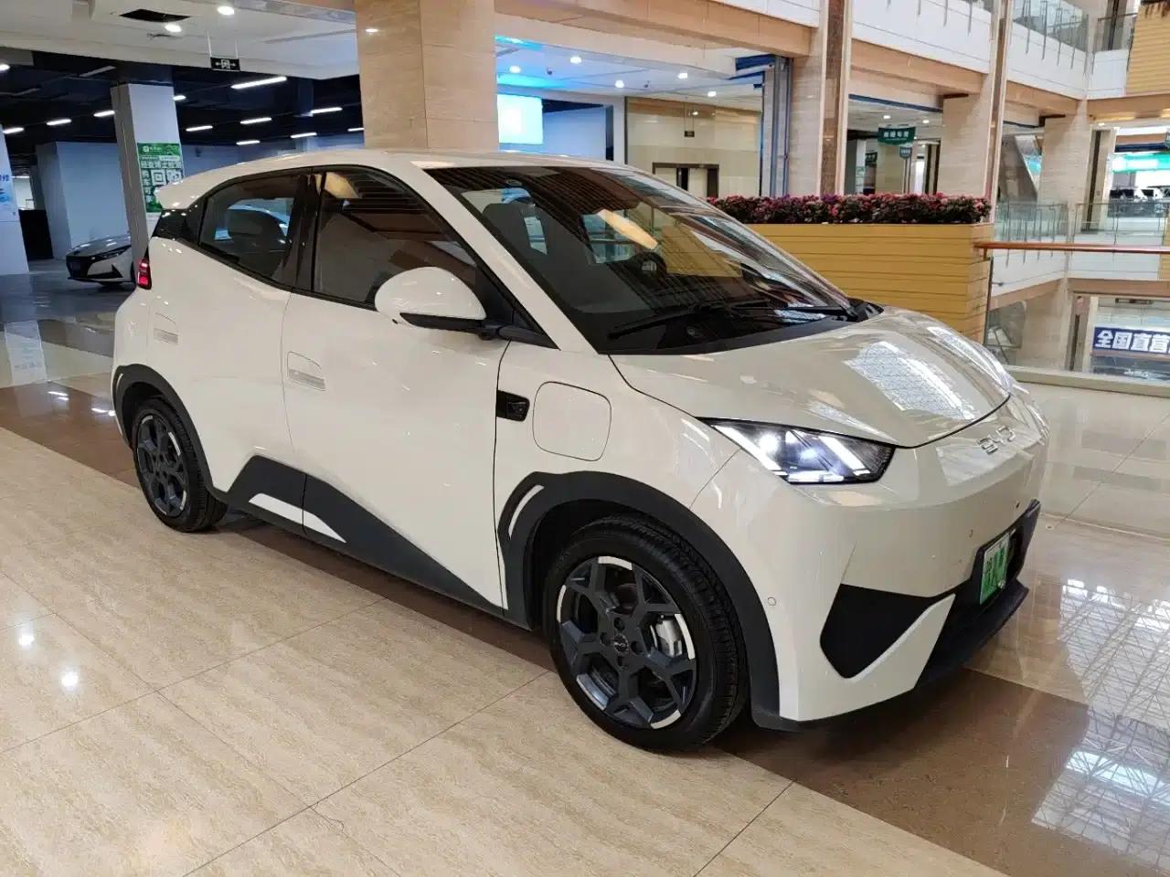 Seagull 2025 Smart Driving Edition 305km Freedom Edition — миниатюра 3