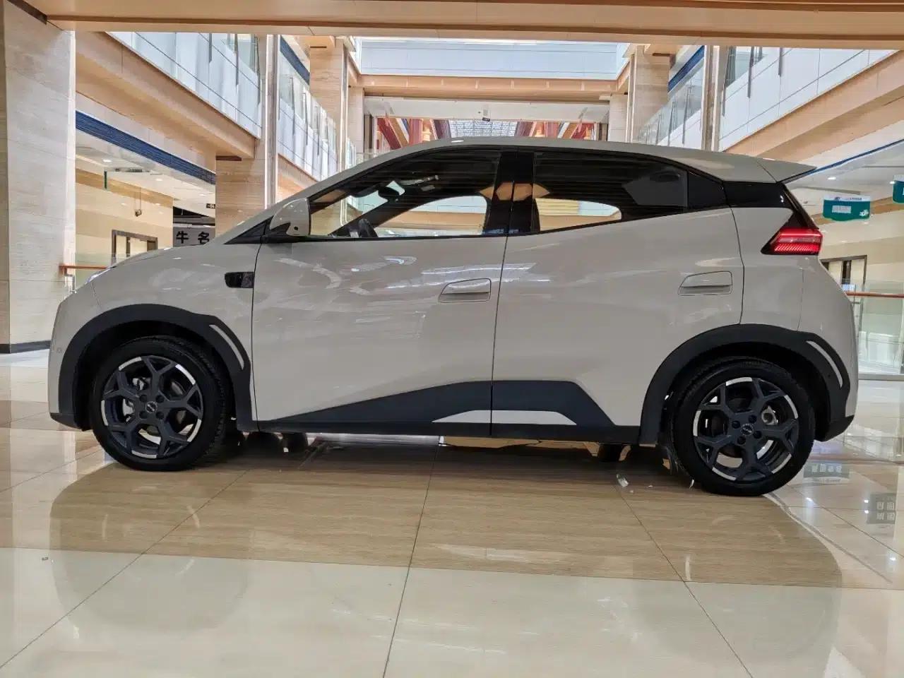 Seagull 2025 Smart Driving Edition 305km Freedom Edition — миниатюра 4