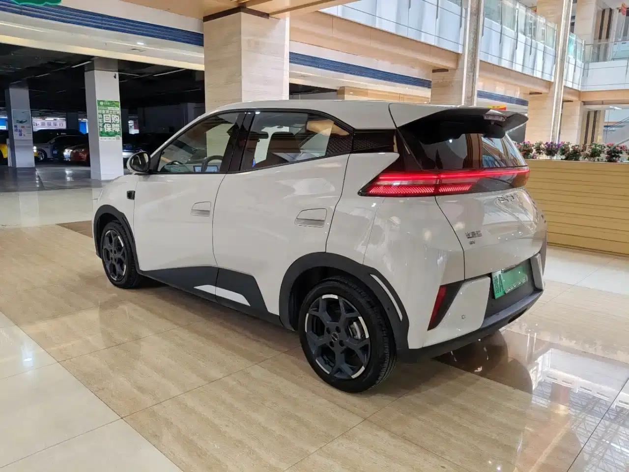 Seagull 2025 Smart Driving Edition 305km Freedom Edition — миниатюра 5