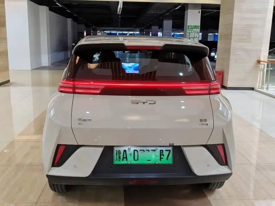 Seagull 2025 Smart Driving Edition 305km Freedom Edition — миниатюра 6
