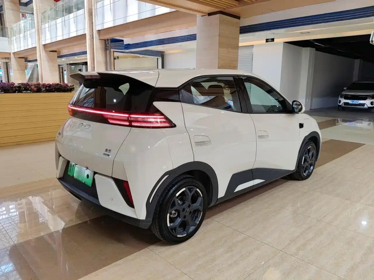 Seagull 2025 Smart Driving Edition 305km Freedom Edition — миниатюра 7