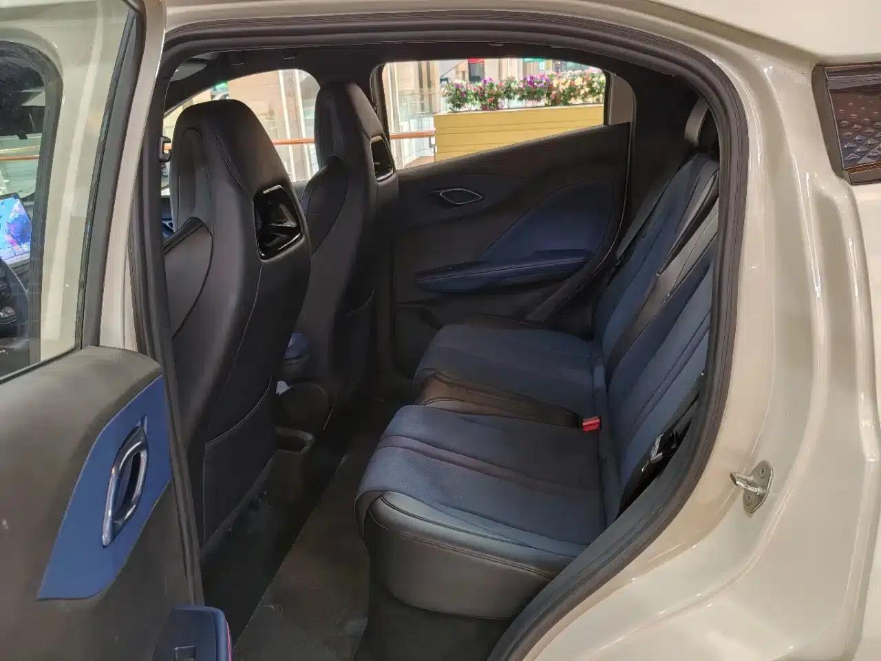 Seagull 2025 Smart Driving Edition 305km Freedom Edition — миниатюра 9