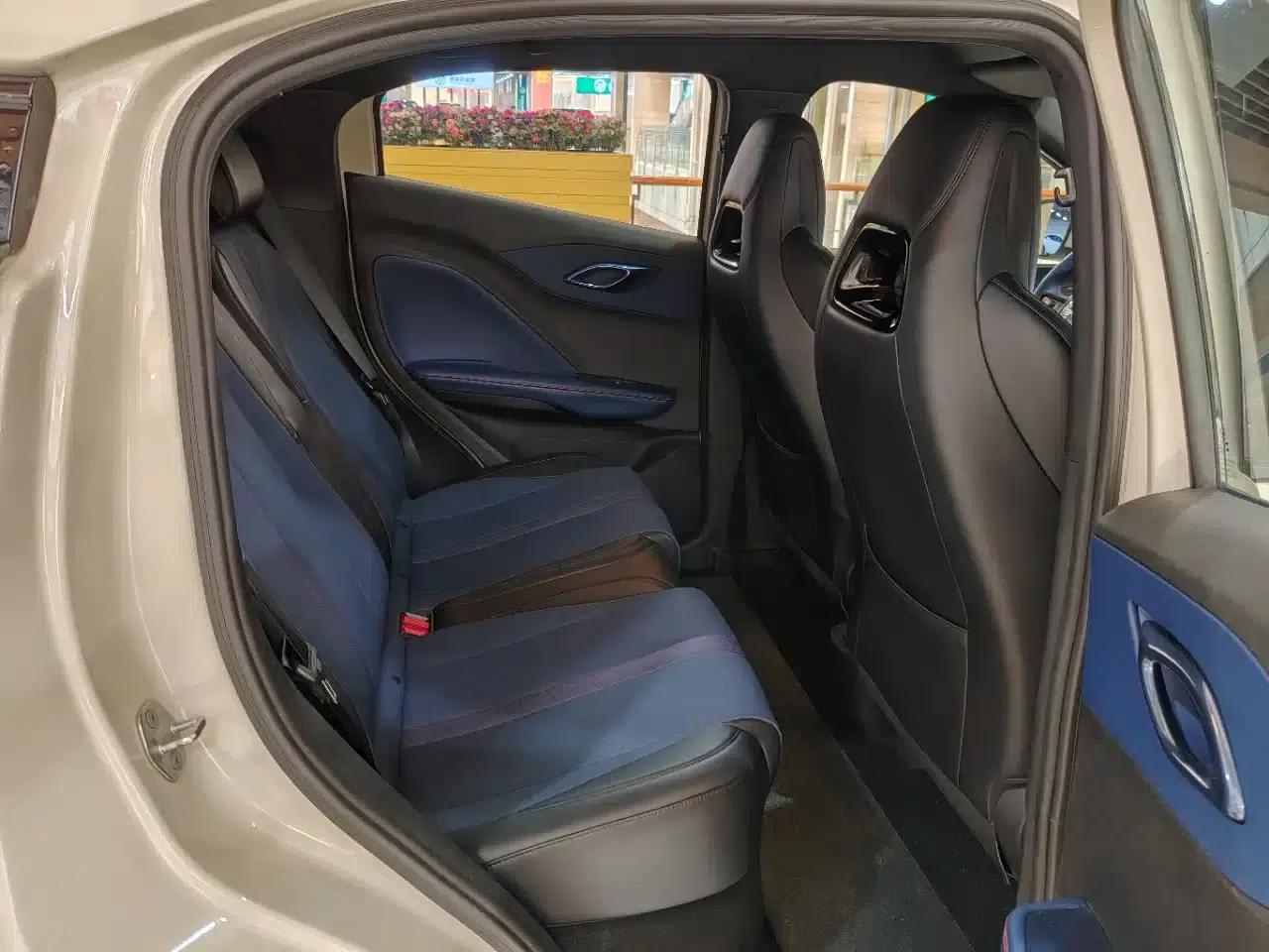 Seagull 2025 Smart Driving Edition 305km Freedom Edition — миниатюра 10