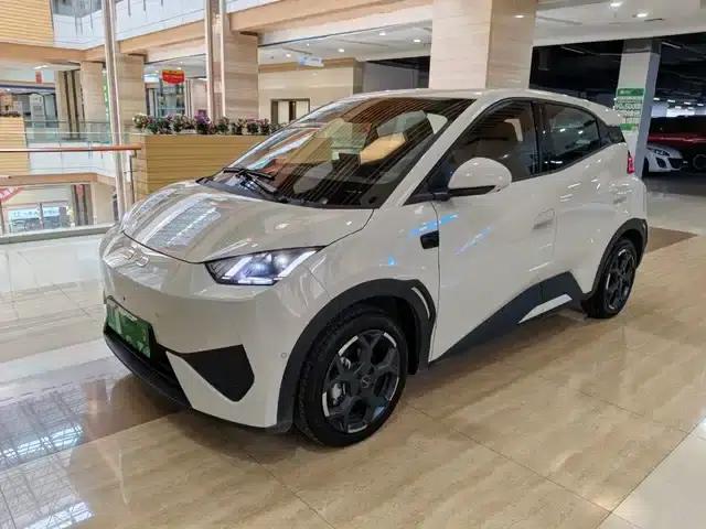Seagull 2025 Smart Driving Edition 305km Freedom Edition