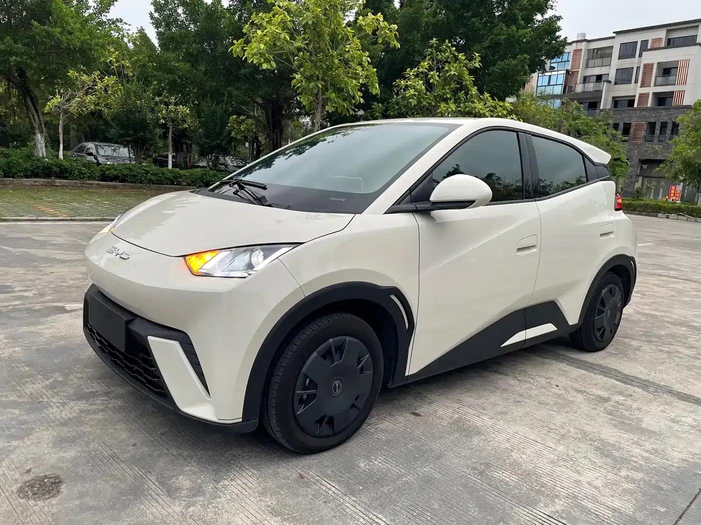 Seagull 2024 Glory Edition 305km Freedom Edition — миниатюра 1