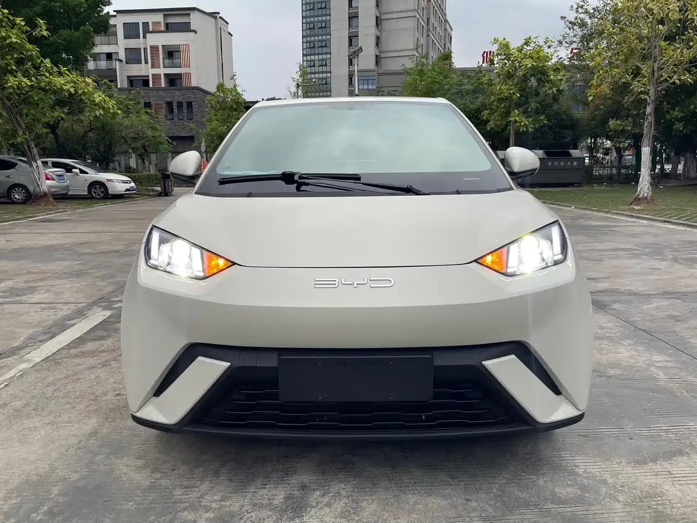 Seagull 2024 Glory Edition 305km Freedom Edition — миниатюра 2
