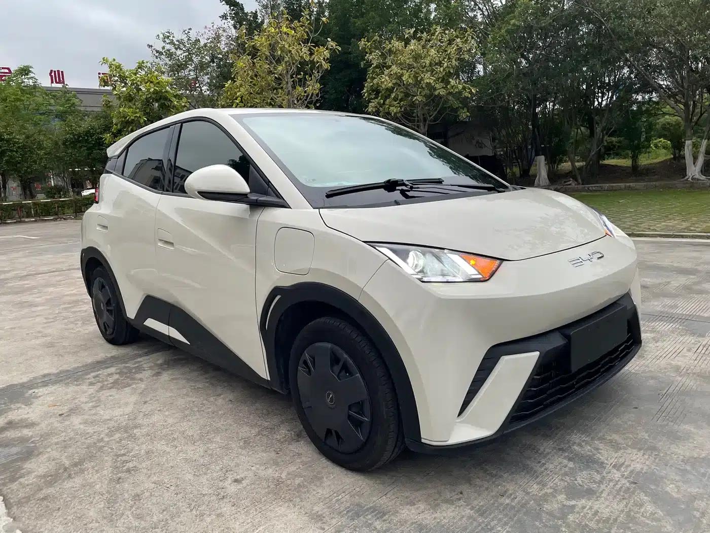 Seagull 2024 Glory Edition 305km Freedom Edition — миниатюра 3
