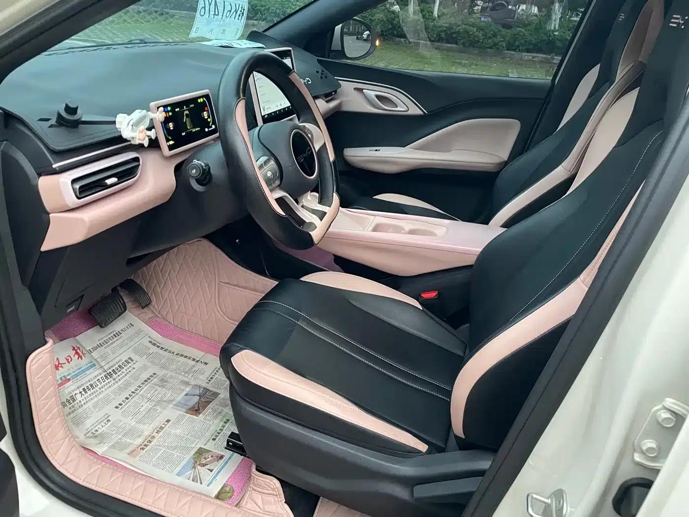 Seagull 2024 Glory Edition 305km Freedom Edition — миниатюра 4