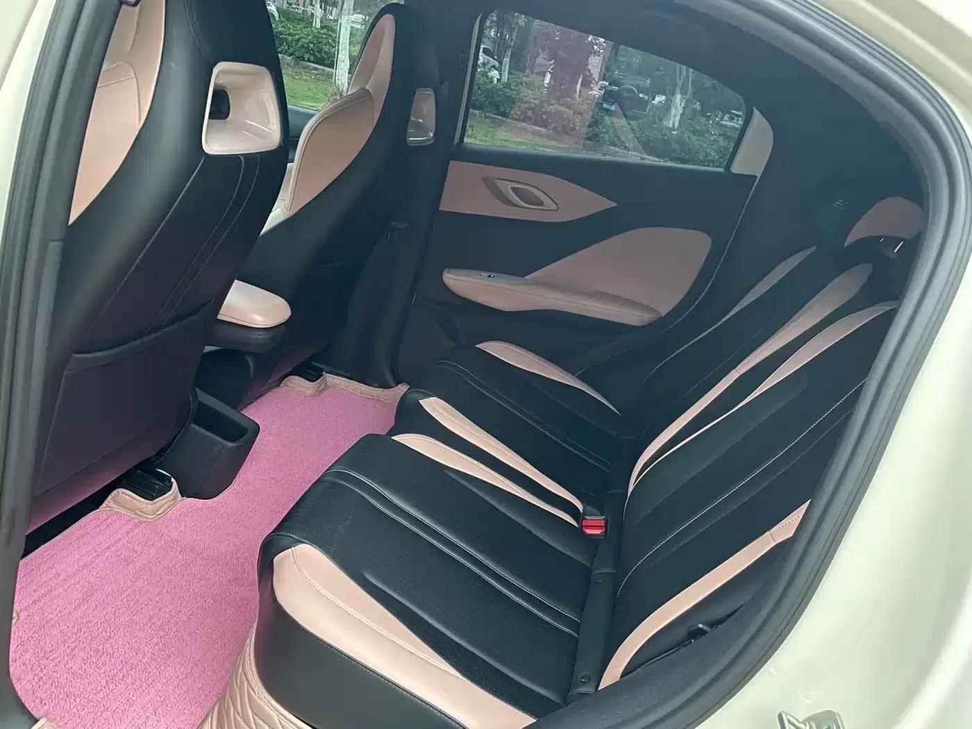 Seagull 2024 Glory Edition 305km Freedom Edition — миниатюра 5