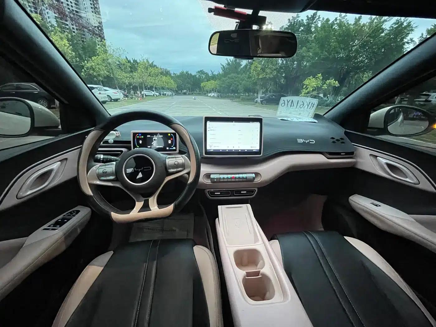 Seagull 2024 Glory Edition 305km Freedom Edition — миниатюра 6