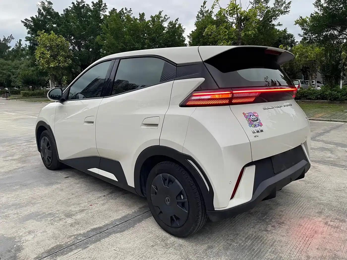 Seagull 2024 Glory Edition 305km Freedom Edition — миниатюра 7