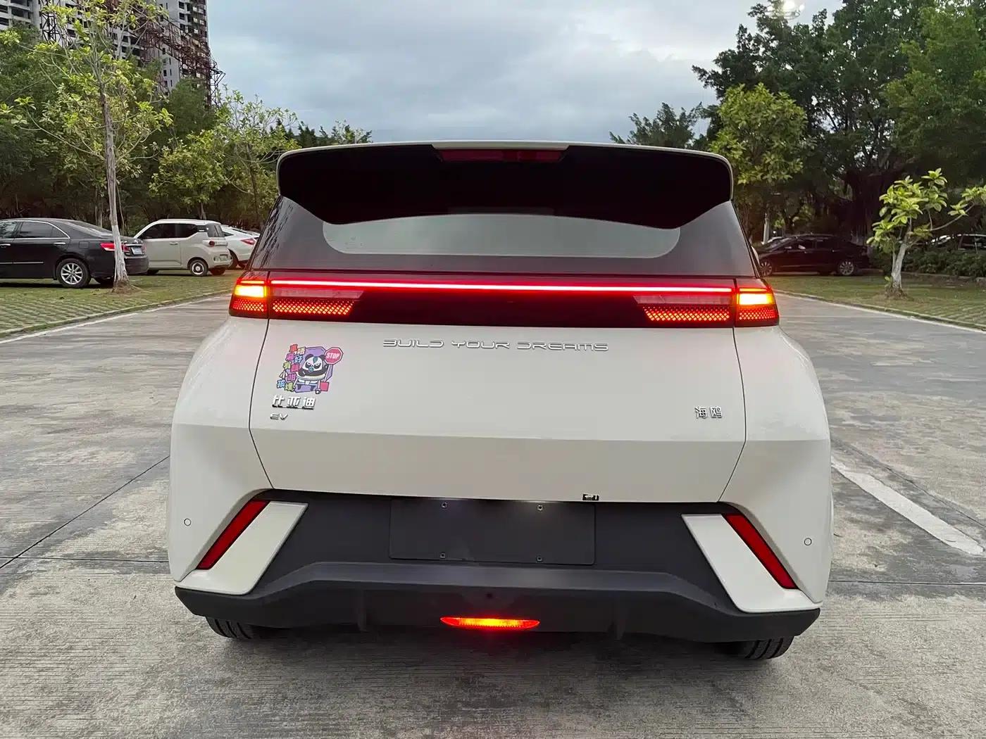 Seagull 2024 Glory Edition 305km Freedom Edition — миниатюра 8