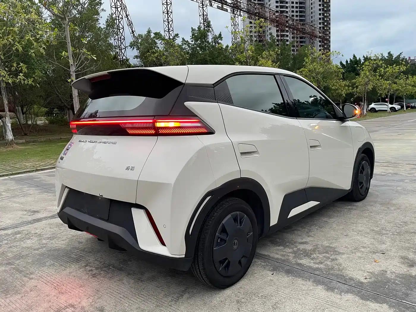 Seagull 2024 Glory Edition 305km Freedom Edition — миниатюра 9