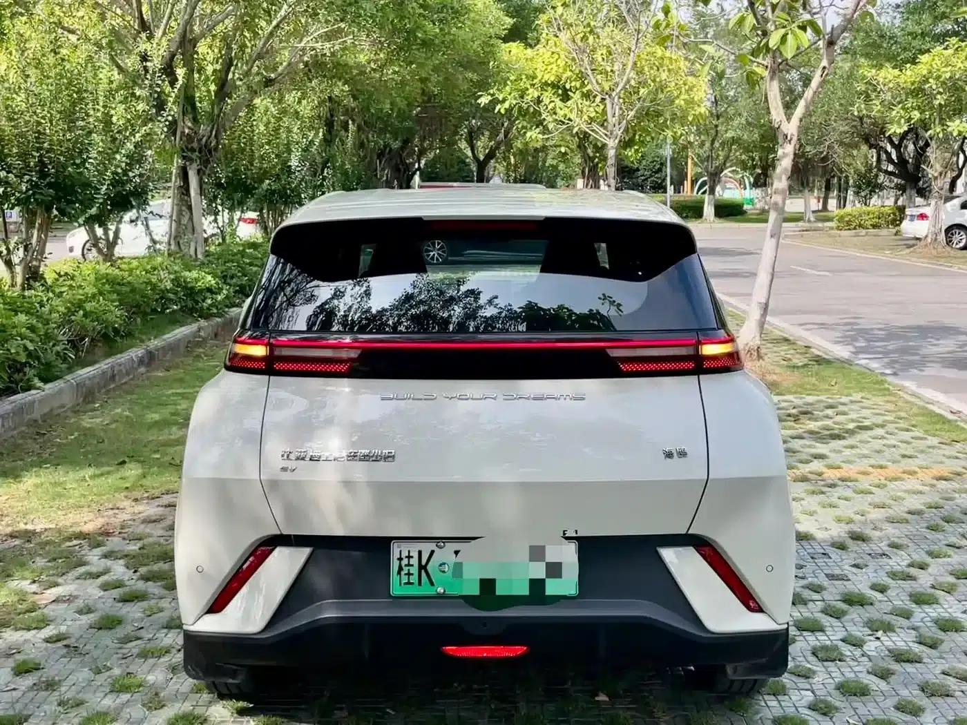 Seagull 2024 Glory Edition 305km Freedom Edition — миниатюра 2