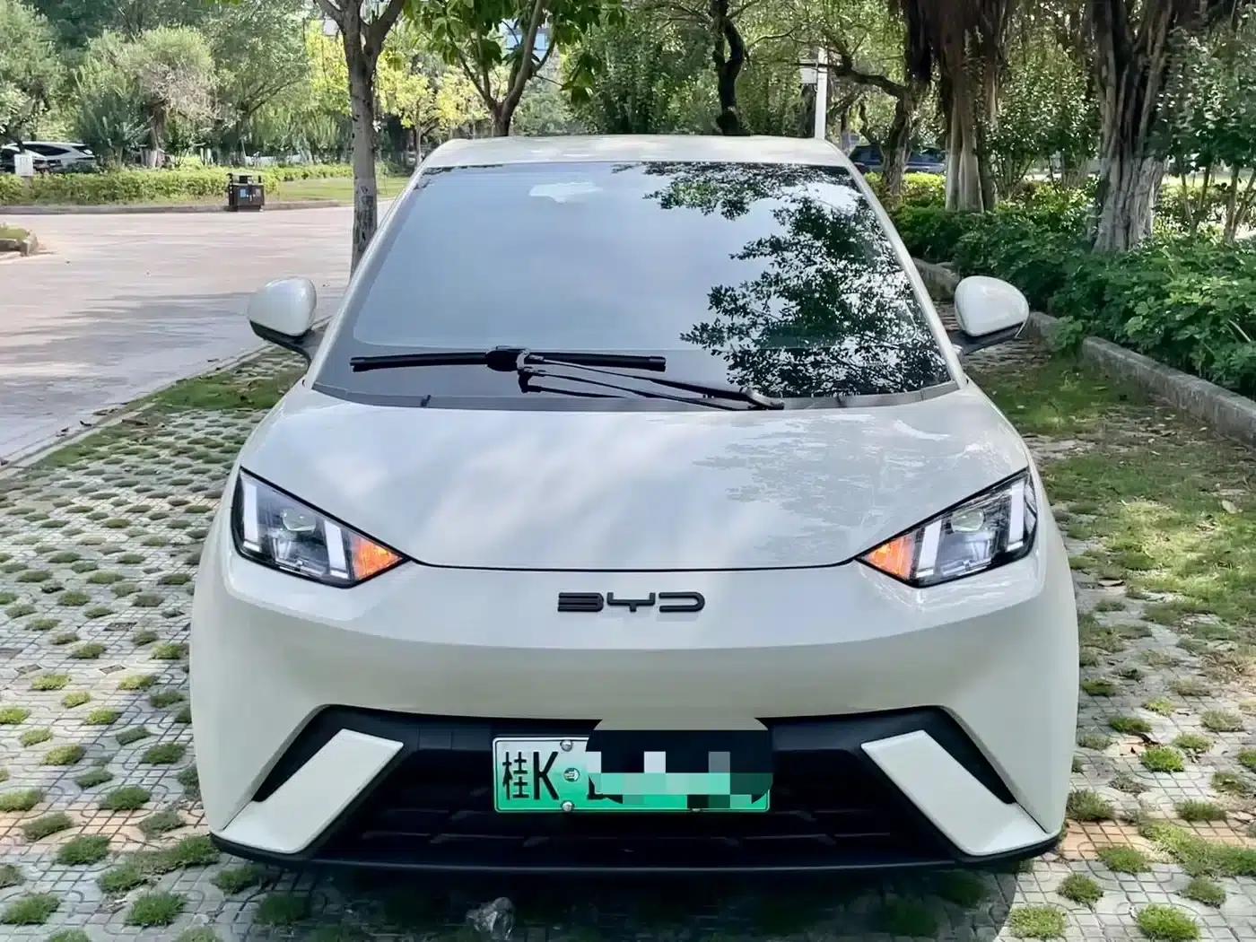 Seagull 2024 Glory Edition 305km Freedom Edition — миниатюра 3