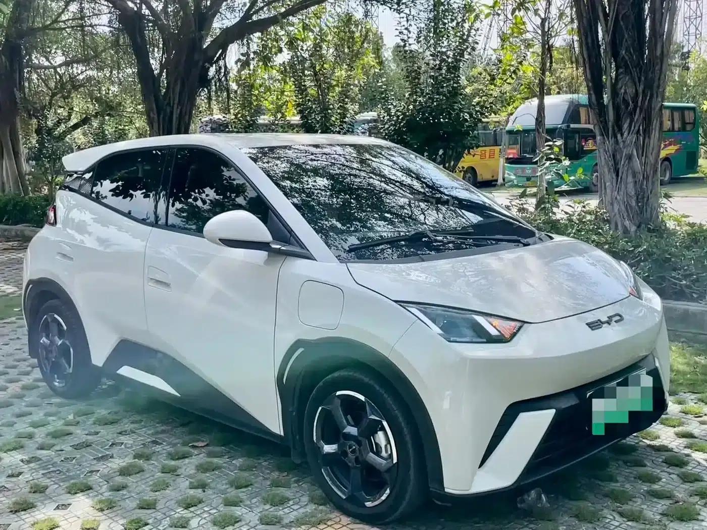 Seagull 2024 Glory Edition 305km Freedom Edition — миниатюра 4