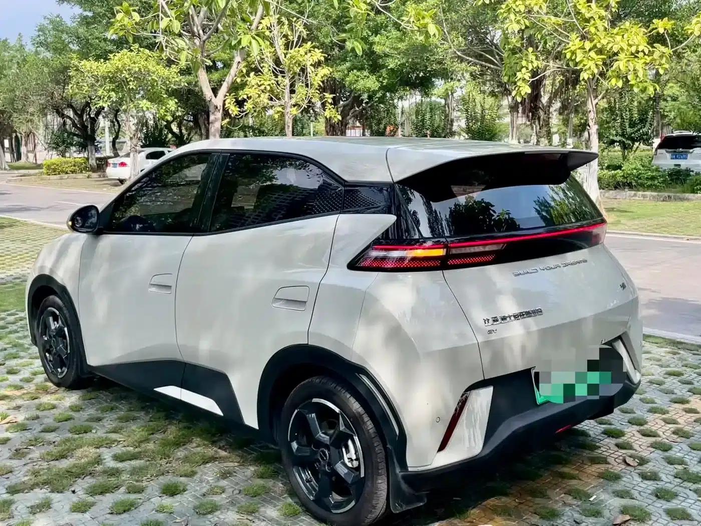 Seagull 2024 Glory Edition 305km Freedom Edition — миниатюра 5