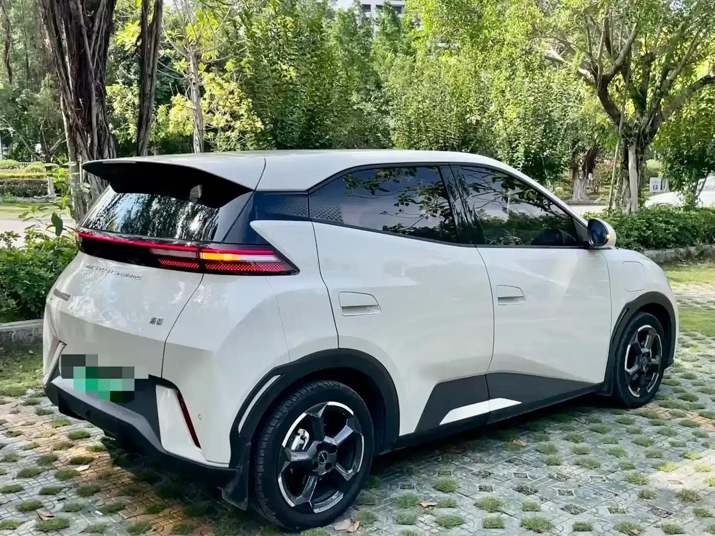 Seagull 2024 Glory Edition 305km Freedom Edition — миниатюра 6