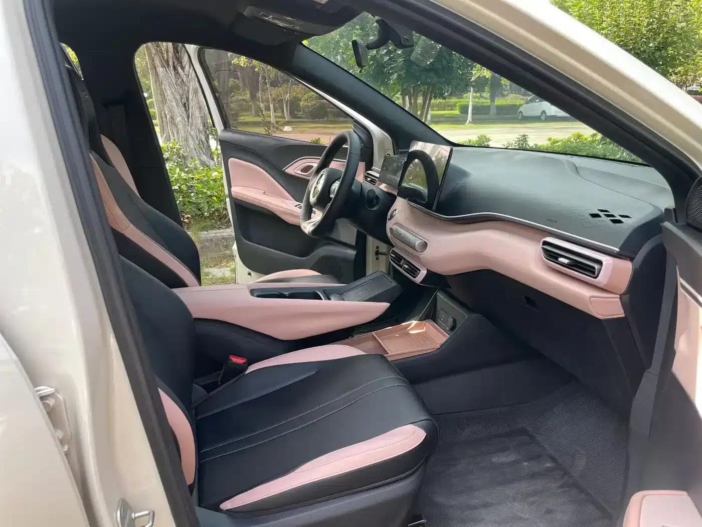 Seagull 2024 Glory Edition 305km Freedom Edition — миниатюра 7