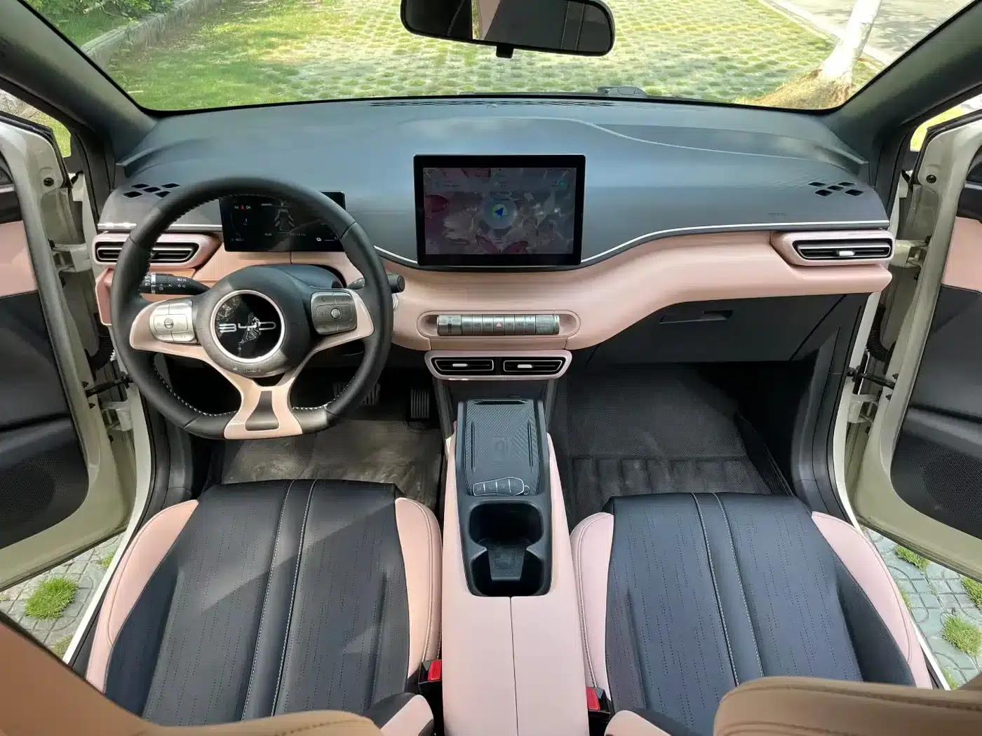 Seagull 2024 Glory Edition 305km Freedom Edition — миниатюра 8