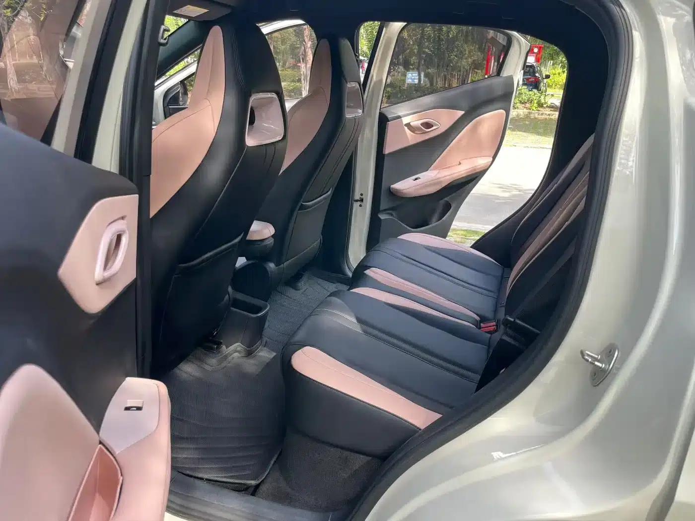 Seagull 2024 Glory Edition 305km Freedom Edition — миниатюра 9