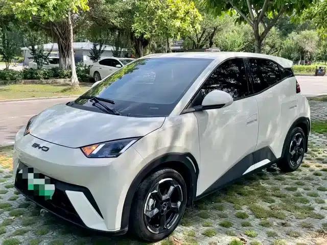 Seagull 2024 Glory Edition 305km Freedom Edition