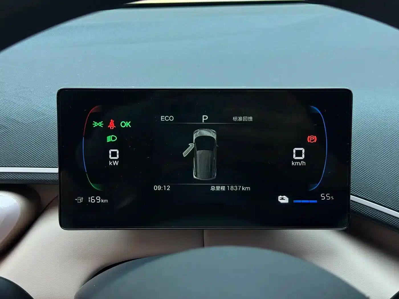 Seagull 2025 305km/h Dynamic Edition — миниатюра 11