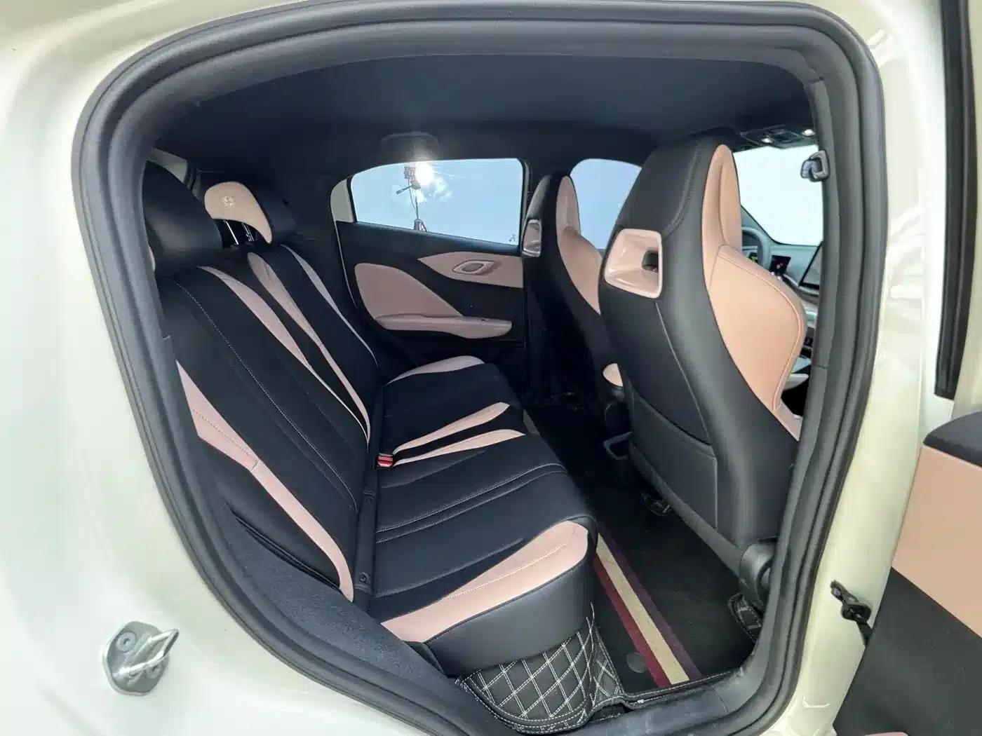 Seagull 2025 305km/h Dynamic Edition — миниатюра 15
