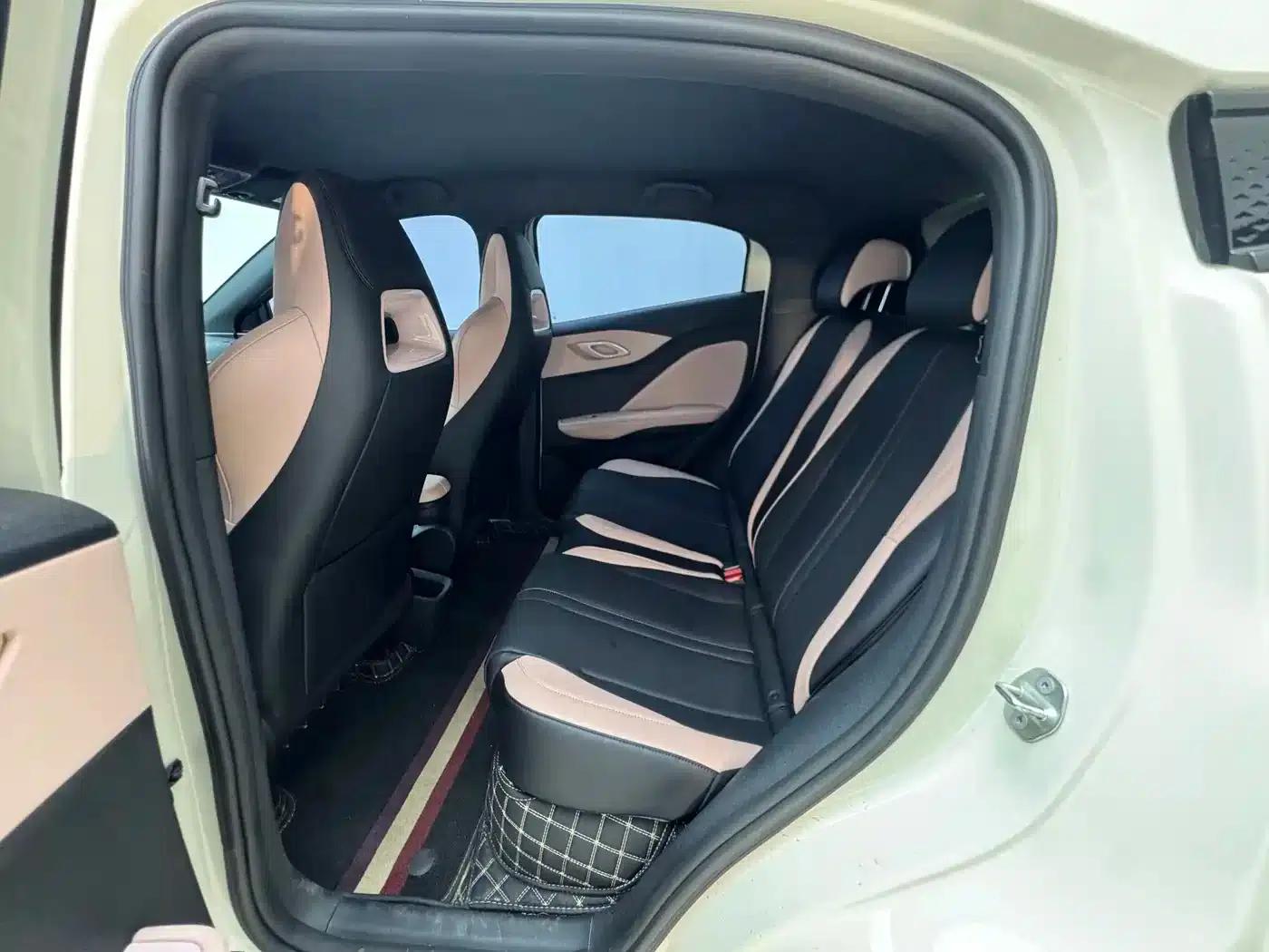 Seagull 2025 305km/h Dynamic Edition — миниатюра 16