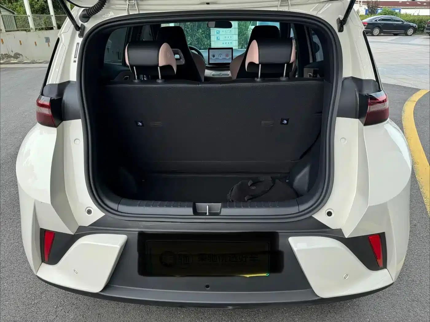 Seagull 2025 305km/h Dynamic Edition — миниатюра 17