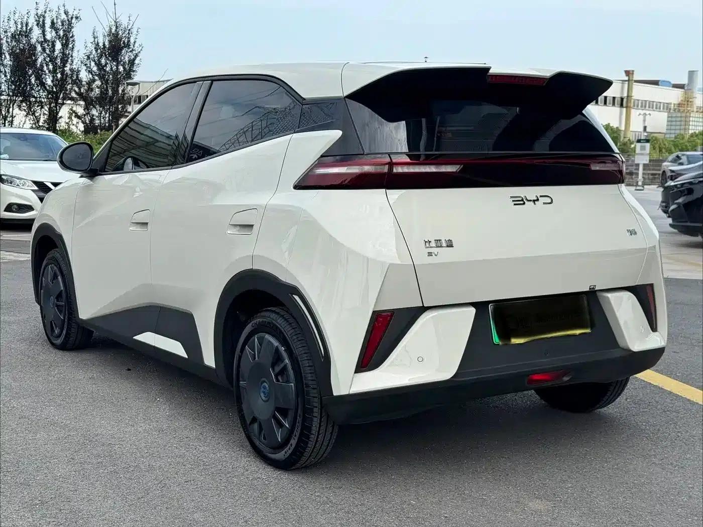 Seagull 2025 305km/h Dynamic Edition — миниатюра 20