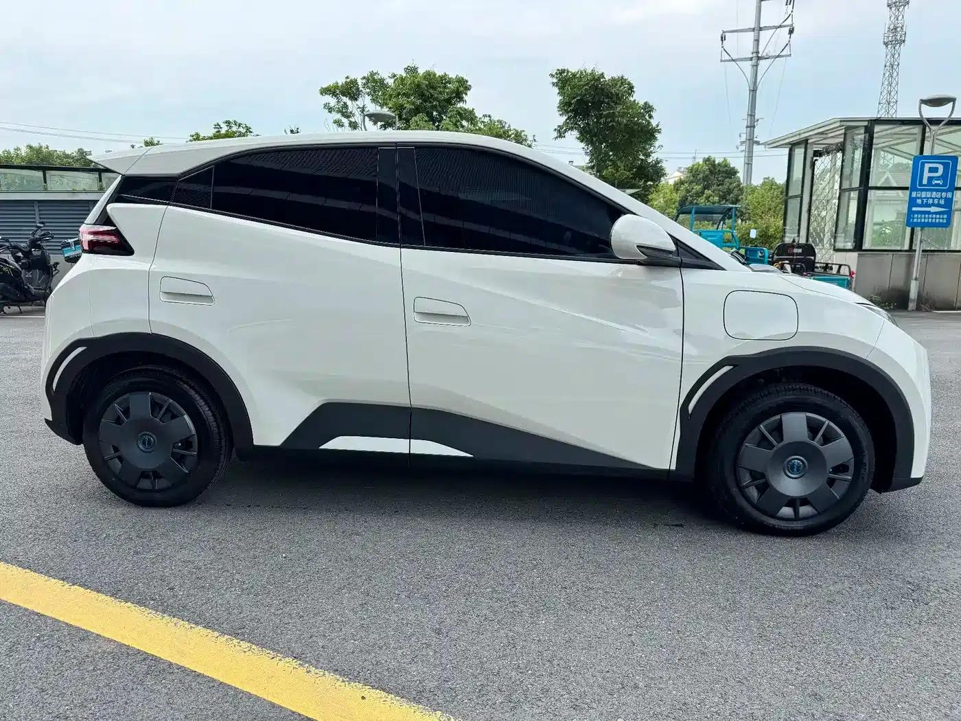 Seagull 2025 305km/h Dynamic Edition — миниатюра 22