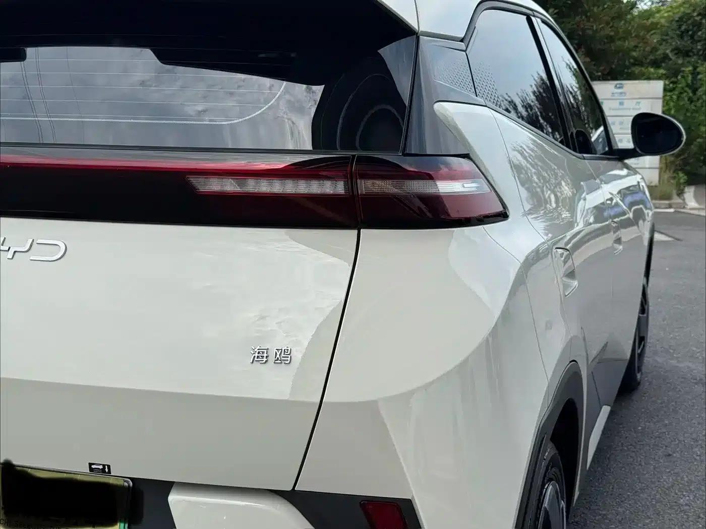 Seagull 2025 305km/h Dynamic Edition — миниатюра 24