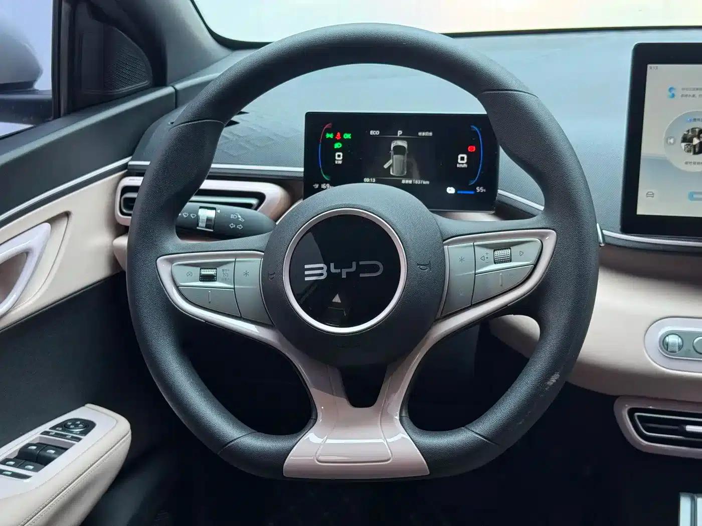 Seagull 2025 305km/h Dynamic Edition — миниатюра 7