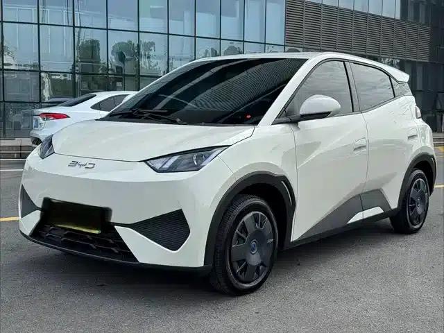 Seagull 2025 305km/h Dynamic Edition