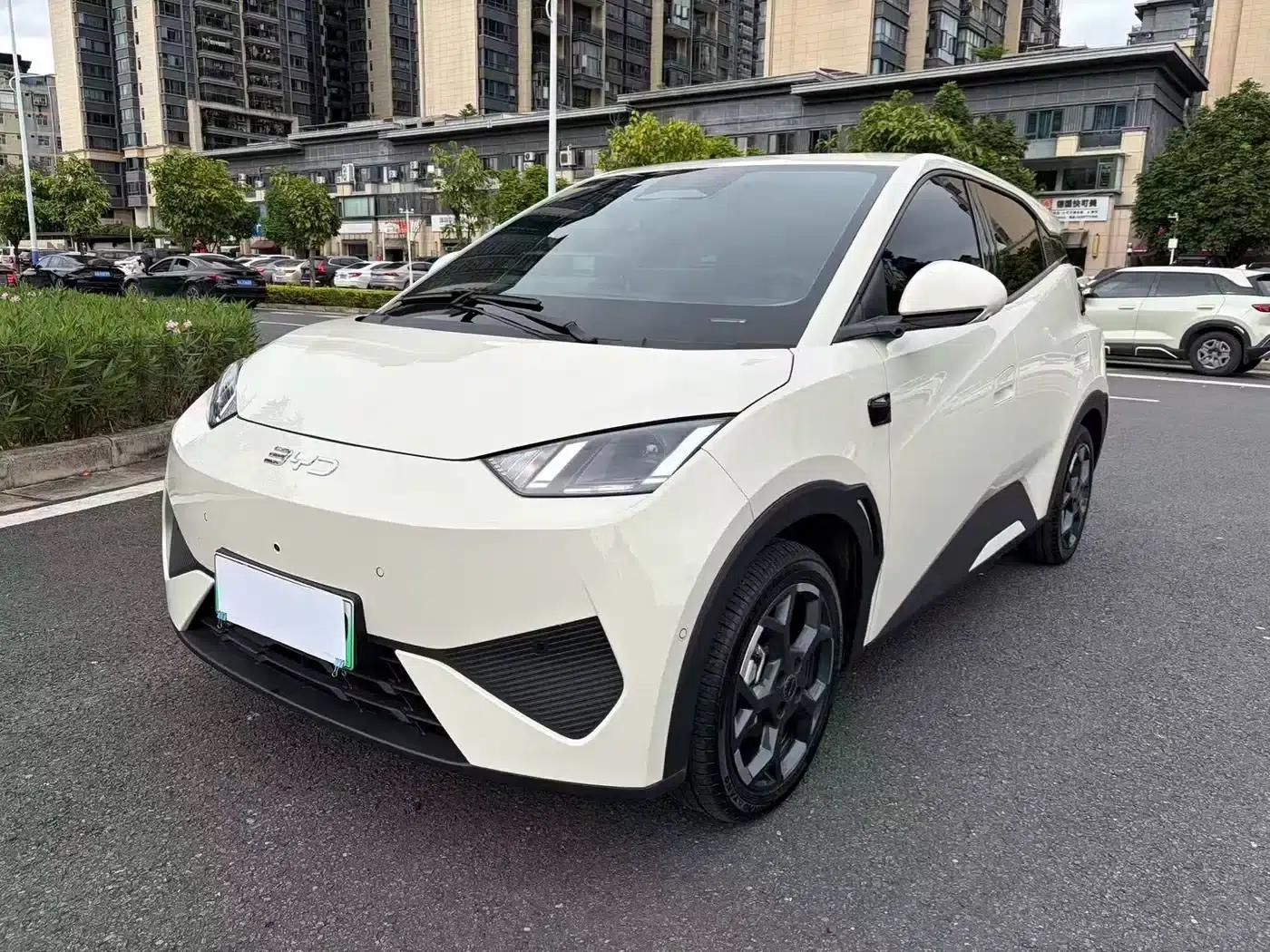 Seagull 2025 Smart Driving Edition 305km Freedom Edition — миниатюра 1
