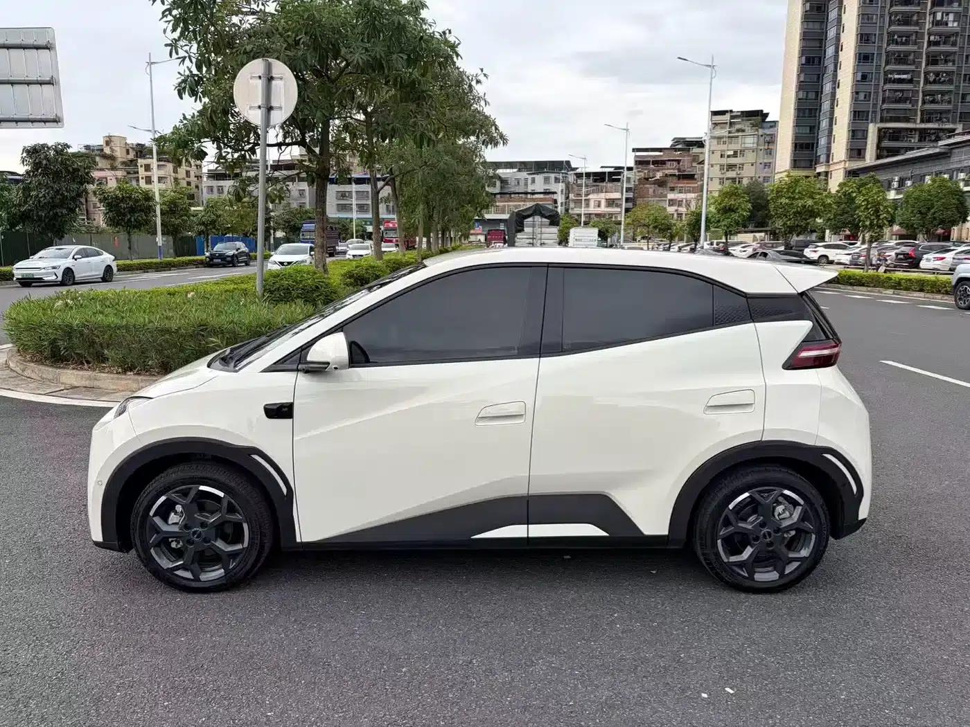 Seagull 2025 Smart Driving Edition 305km Freedom Edition — миниатюра 3