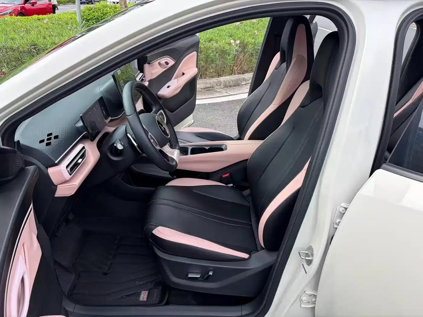 Seagull 2025 Smart Driving Edition 305km Freedom Edition — миниатюра 7