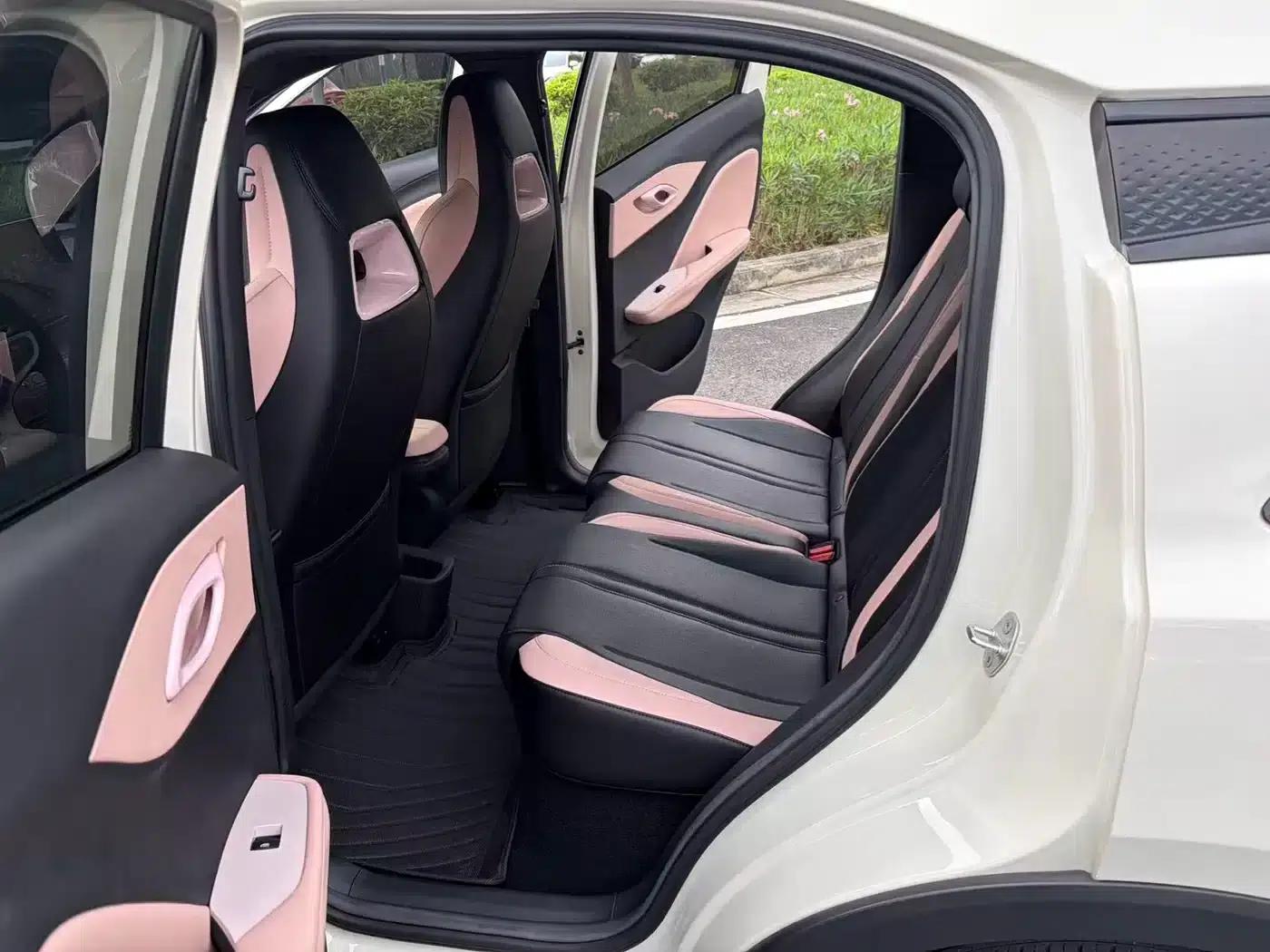 Seagull 2025 Smart Driving Edition 305km Freedom Edition — миниатюра 8