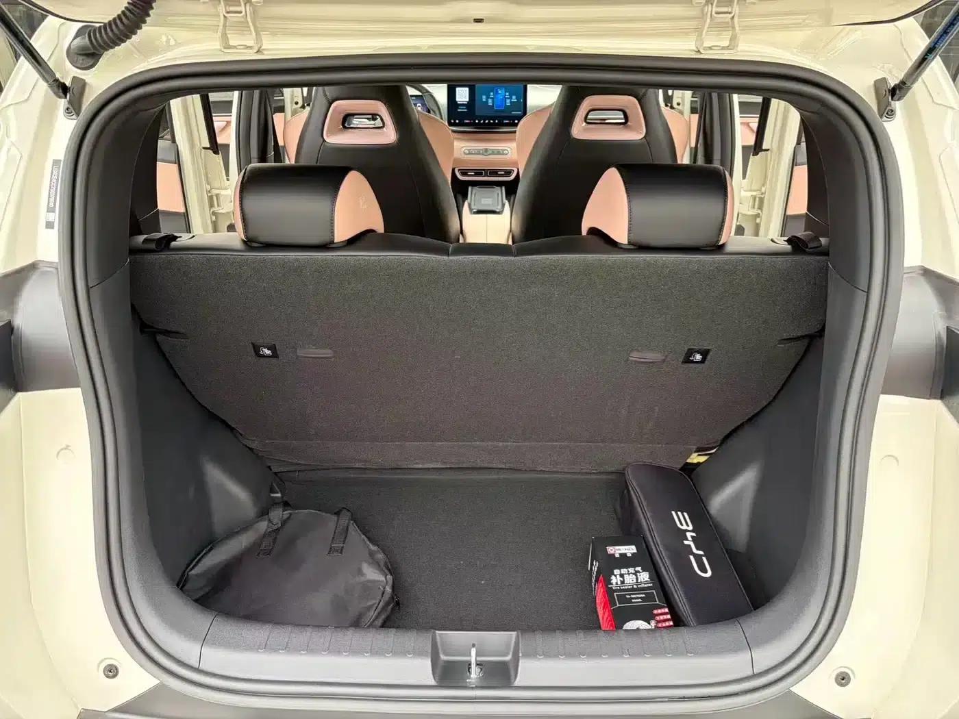 Seagull 2025 Smart Driving Edition 305km Freedom Edition — миниатюра 9