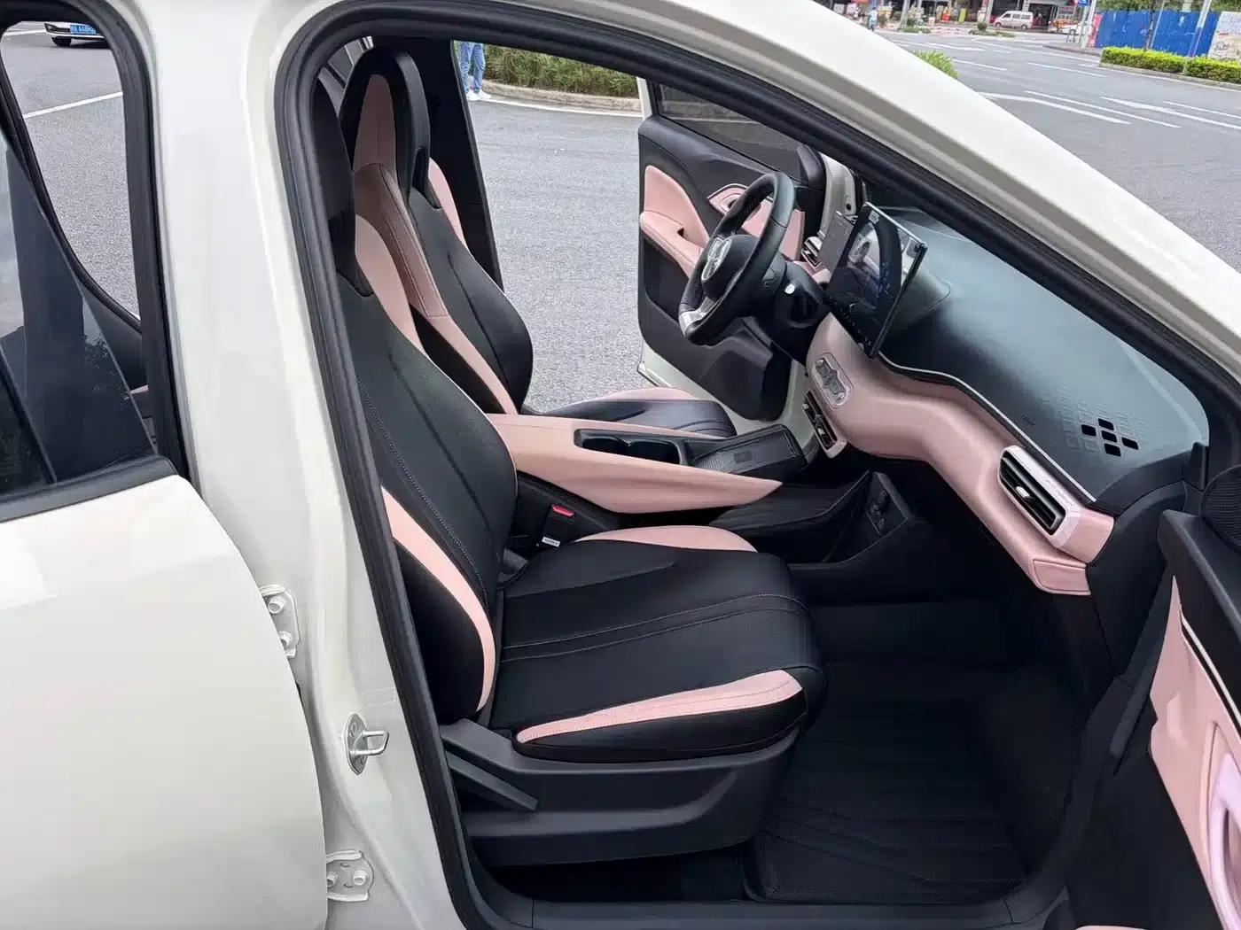 Seagull 2025 Smart Driving Edition 305km Freedom Edition — миниатюра 10